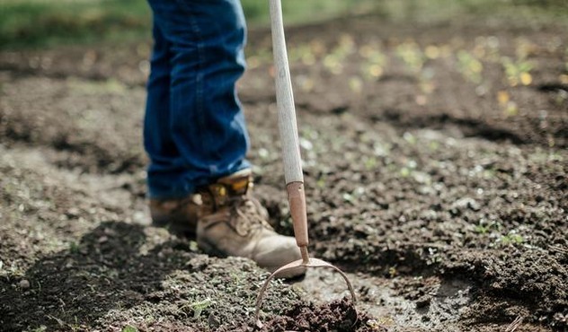 Farmer's Boots.jpg