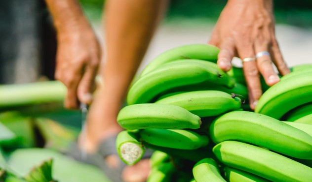 Bananas Up Close