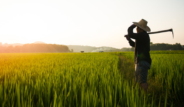 Q2 + H1 2022 results