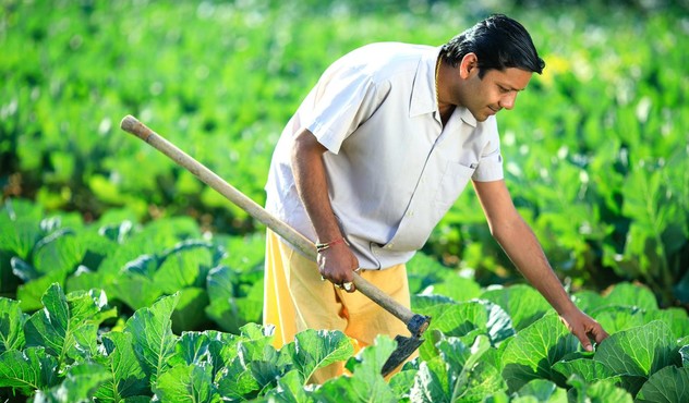 Farmer in Field