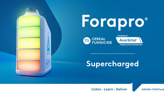 Forapro