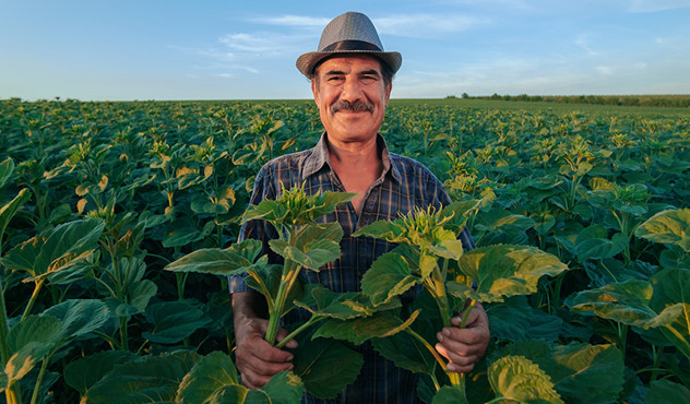 Farmer in field Farmer in field