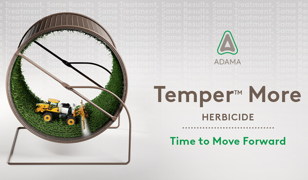 Temper More