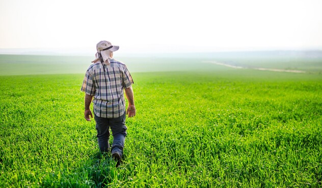 Farmer in the Field