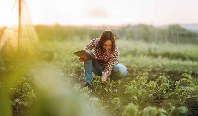 Farmer in a field