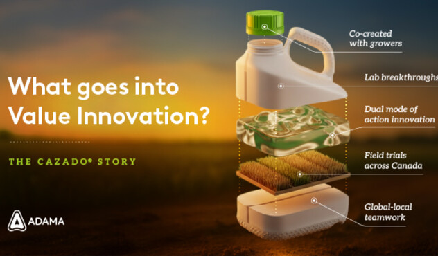 Cazado Value Innovation