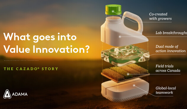 Cazado Value Innovation Story 