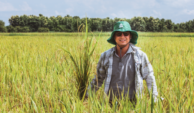 Farmer in rice field