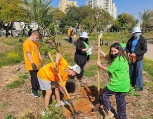 Cultivating Community Gardens.jpg