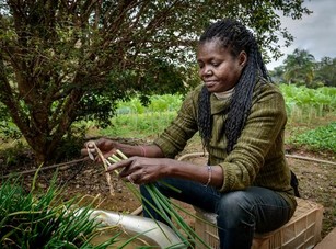 Farmer Holding Chives.jpg