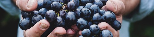 Hands Holding Grapes
