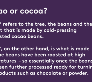 Cacao or Cacoa