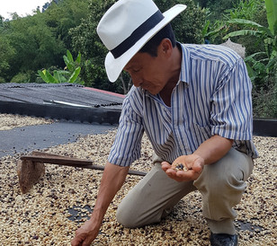 Don Leo drying beans on his farmhouse roof