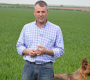 Early Cultivation - Man with dog