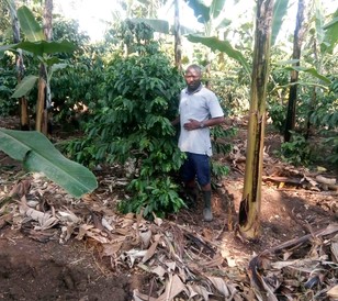 Uganda Farmer1