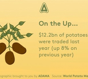 Potato Facts - Article - Fact 1