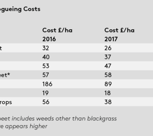 Blackgrass facts