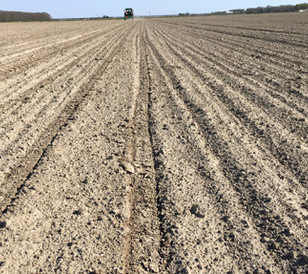 Left the soil is ‘crushed’, Right the soil has a crust