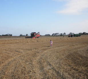 UK farmer story