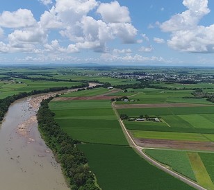 Aerial sugarcane and waterway