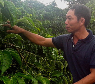 Vietnam Coffee