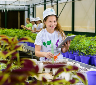 greenhouse