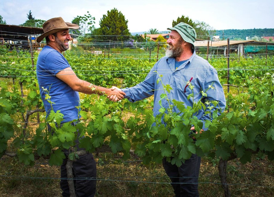 Farmers shake hands near the vineyards