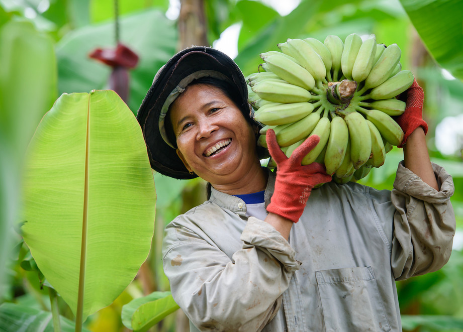Farmer with bananas