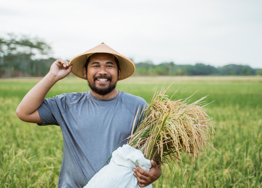 Farmer Holding Rice 