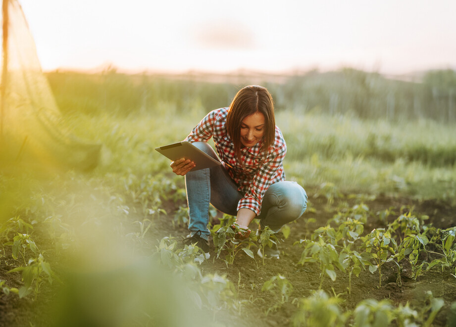 Farmer in a field
