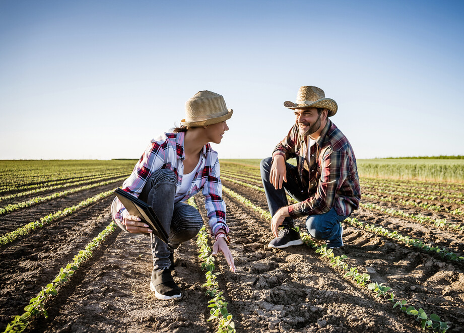 Farmers in the field