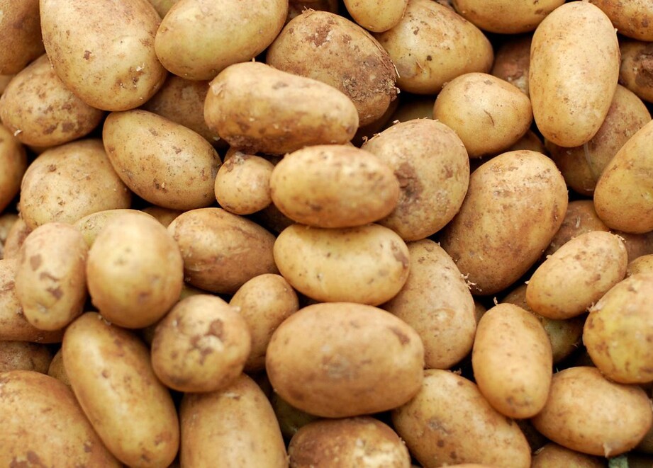 Potatoes
