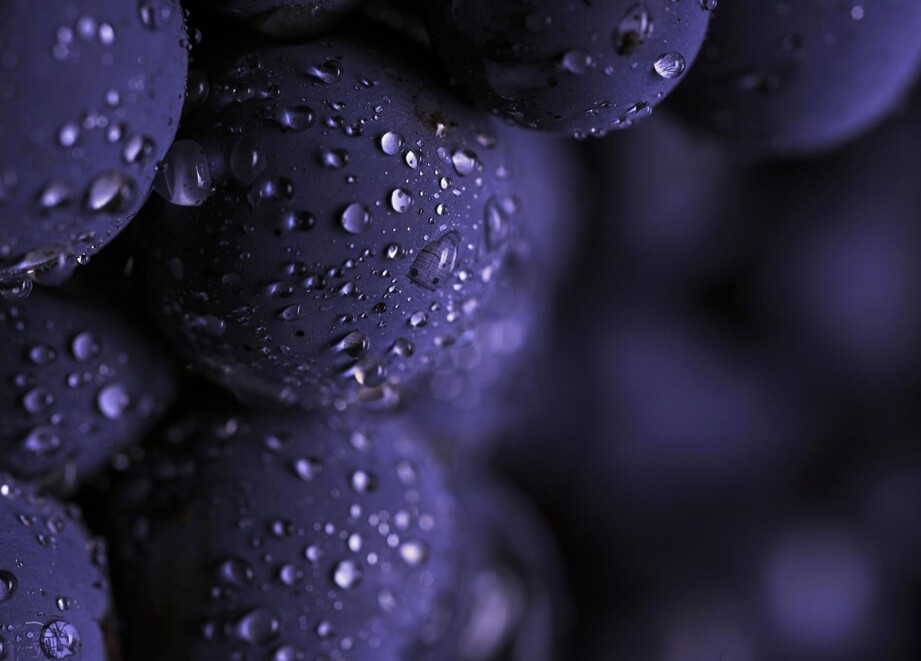 Grapes