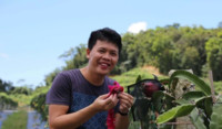 Ross eating Dragon Fruit crop