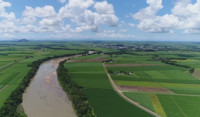 aerial