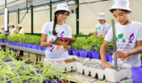 Children in greenhouse