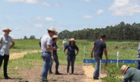 Field brazil soil