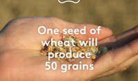 world seeds
