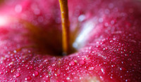 Apple Up Close