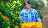 Farmer Holding a Crate of Oranges