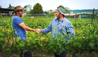 Farmers shake hands near the vineyards