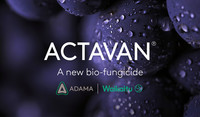 ACTAVAN