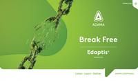 Edaptis
