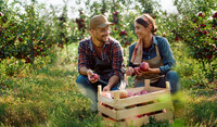 Farmers in the field