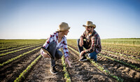 Farmers in the field