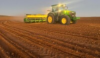 Soybean Planting