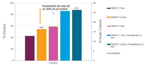 Eficacia sobre Vallico