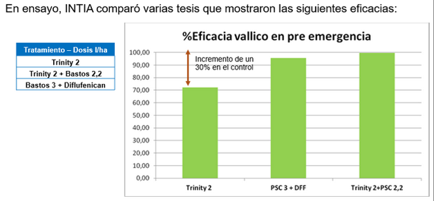 Eficacia en vallico pre emergencia