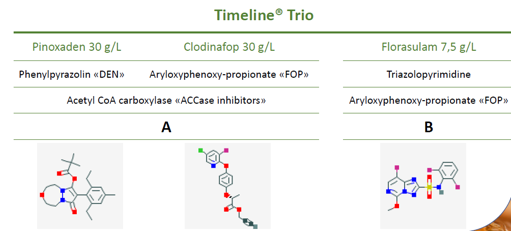 Modo de acción Timeline Trio