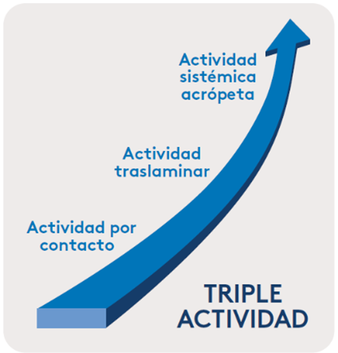 Triple acción Custodia